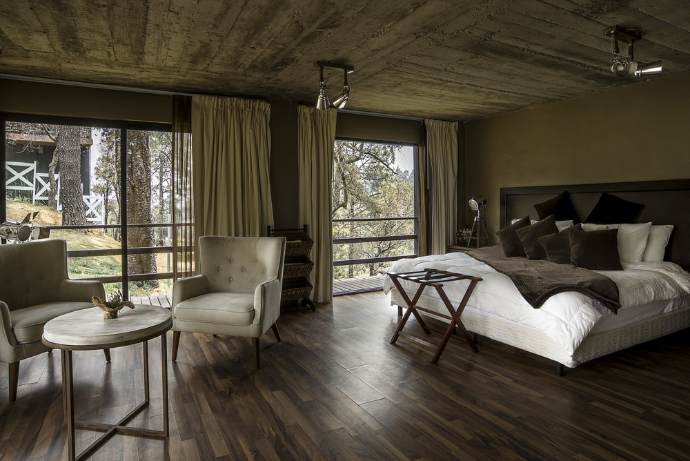 Orgánico Hotel Boutique tiene tres modalidades de alojamiento 