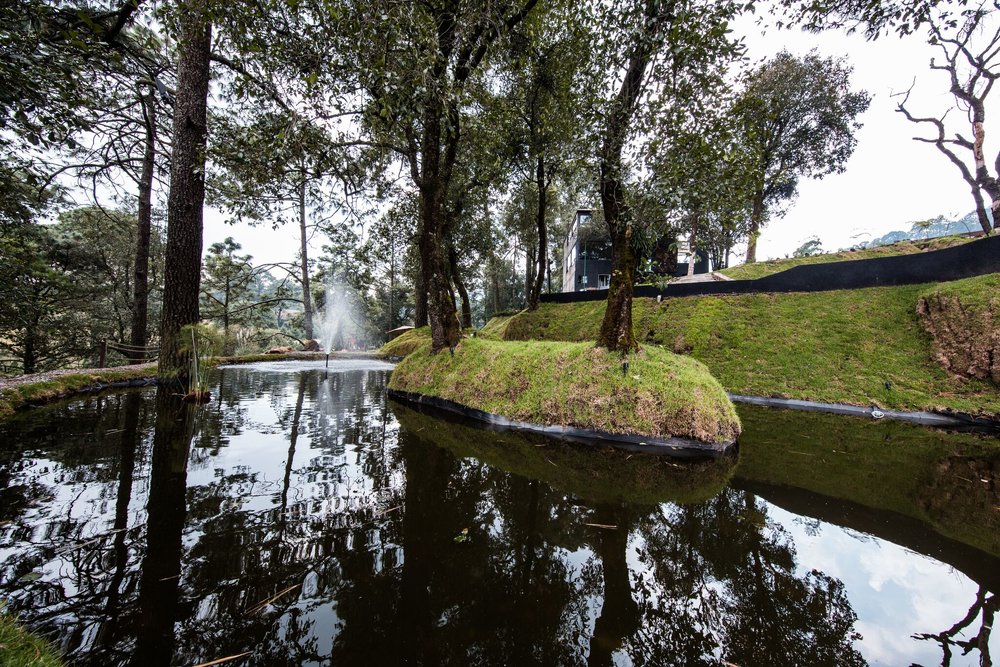 hotel en medio de la naturaleza en la CDMX 
