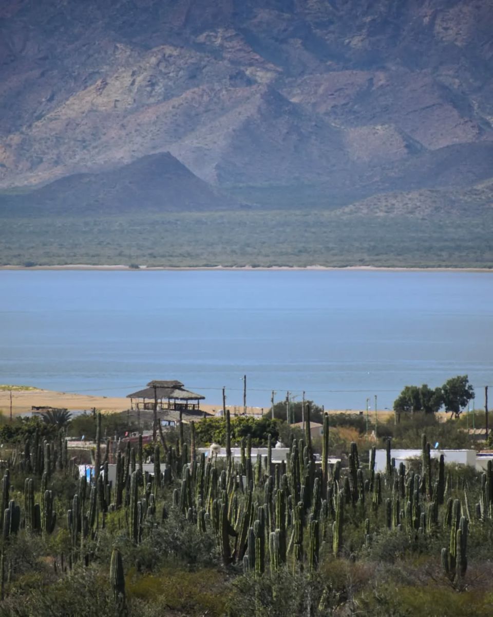 La Isla está protegida por los seri 
