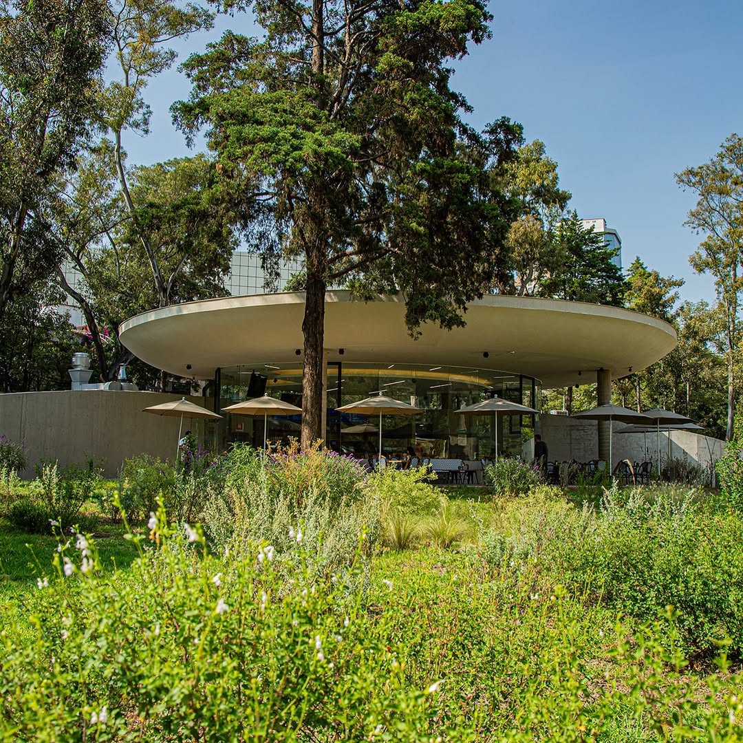 proscenio cafe en xochimilco