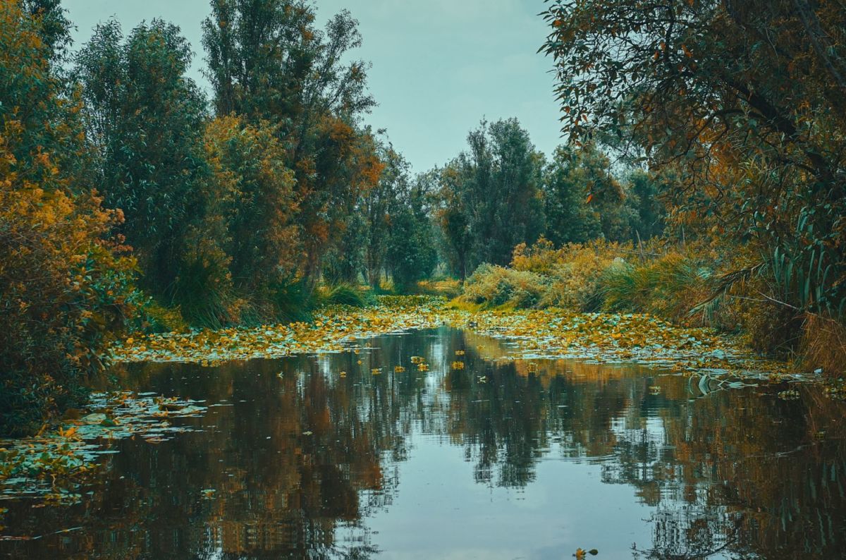 Los paisajes de Xochimilco parecen sacados de un cuadro impresionista