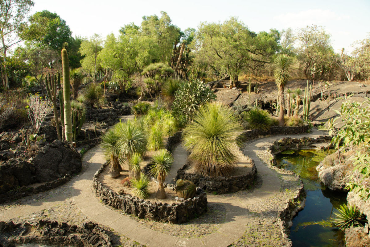 Jardín Botánico en CU