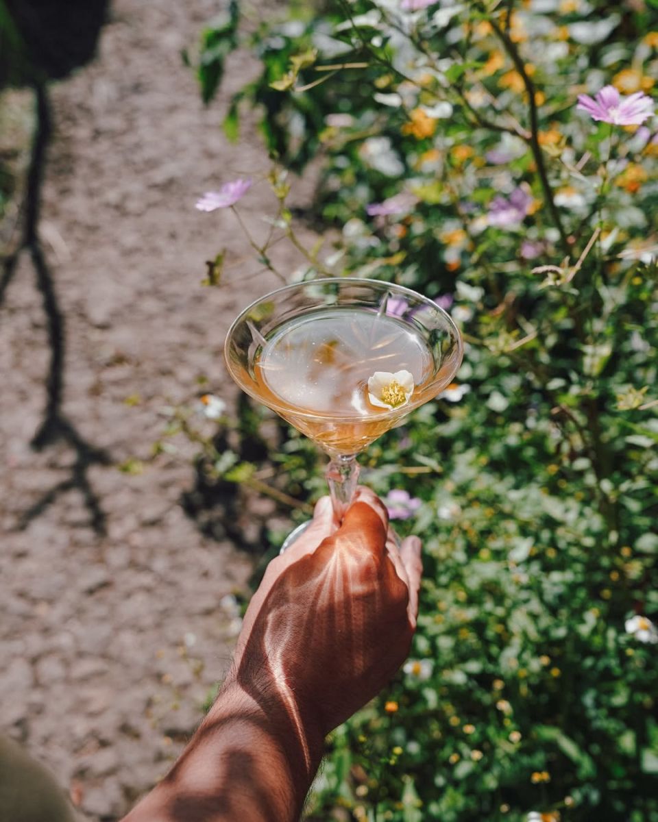 coctelería botánica