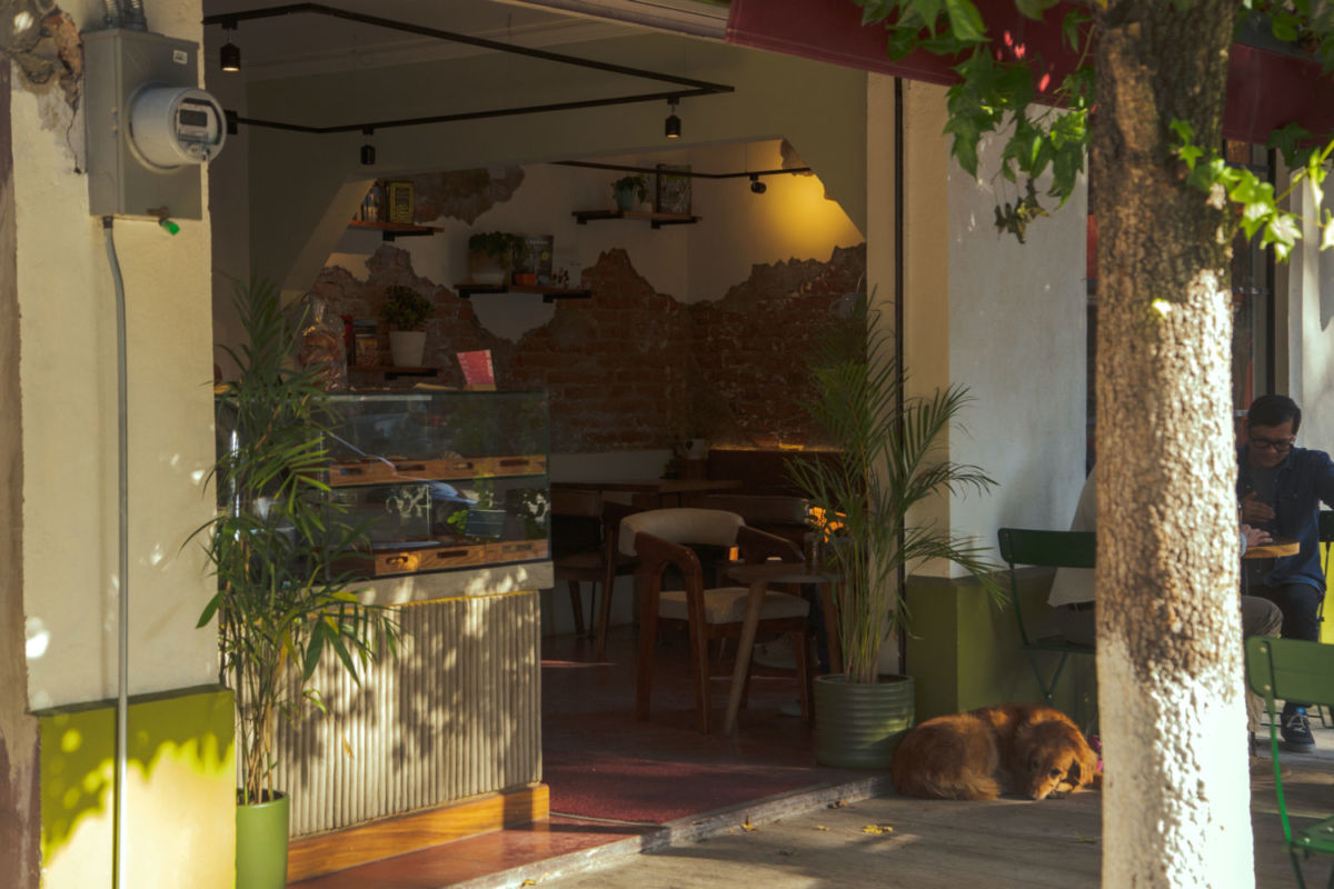 Neppo Café 