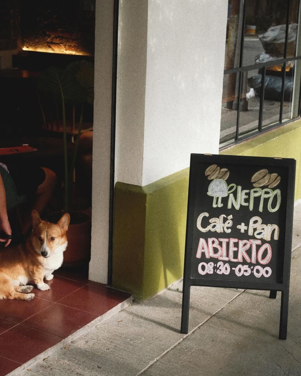 Neppo Café en la Col. Guadalupe Inn