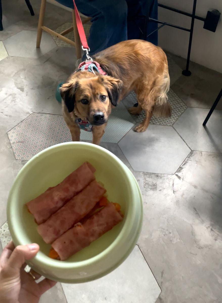 Restaurante pet friendly en la CDMX