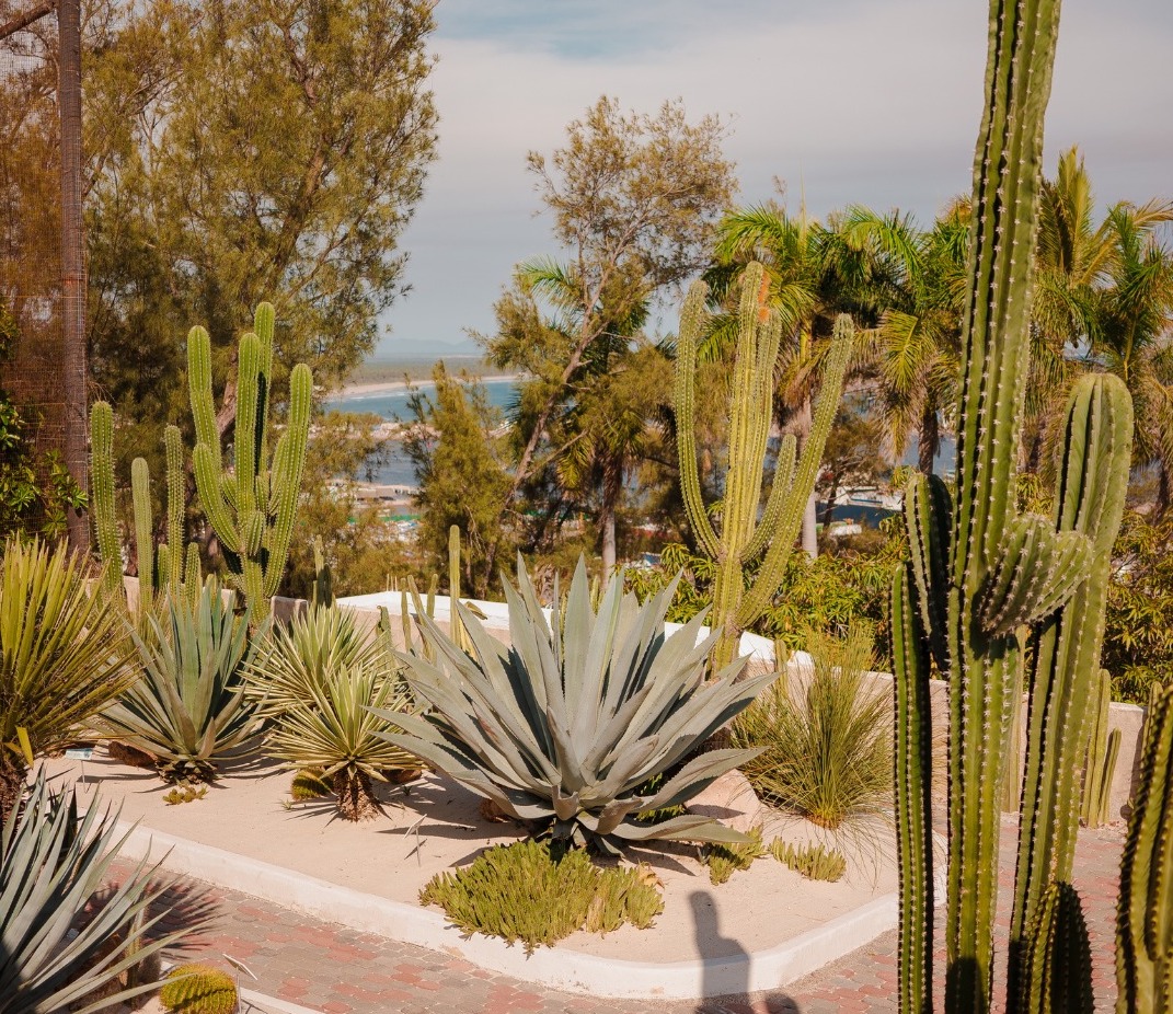 Museo Observatorio de Mazatlán