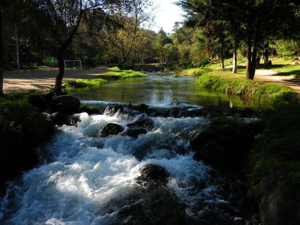 Reserva Ecológica del Río Pancho Poza