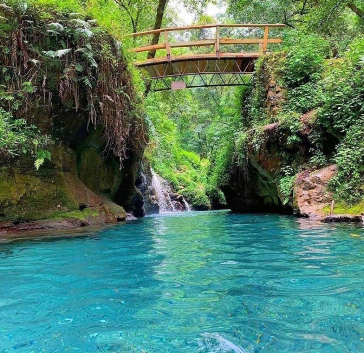 Esta es la reserva natural de aguas turquesas donde puedes nadar gratis a 4 horas de la CDMX