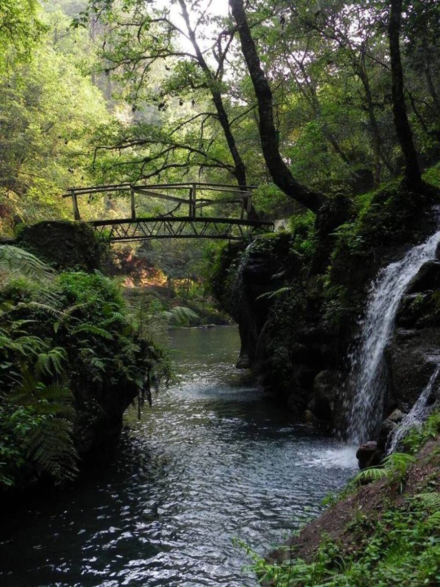 Reserva Ecológica del Río Pancho Poza
