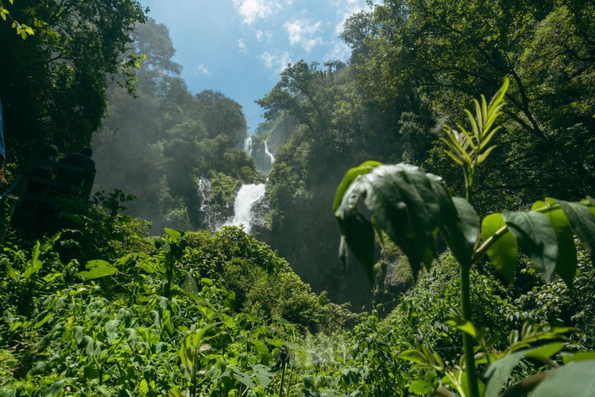 Cascada Tuliana en Zacatlán de las Manzanas