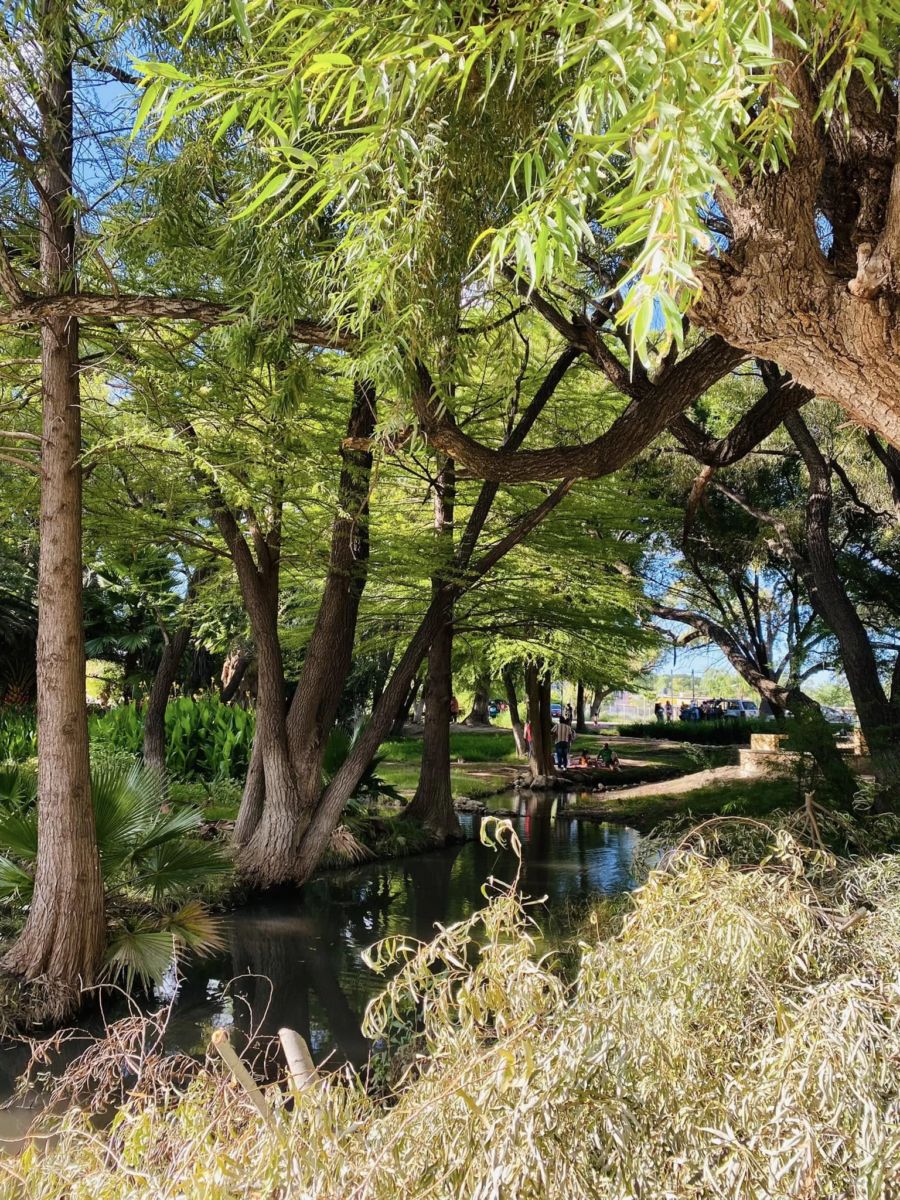 Las Compuertas en Durango