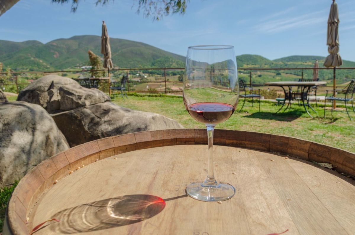 Valle de Guadalupe