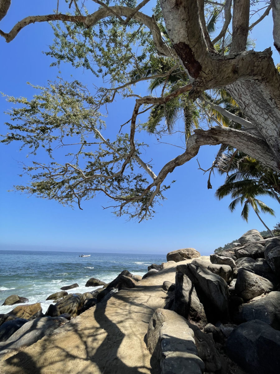 Playa Pizota en Puerto Vallarta 