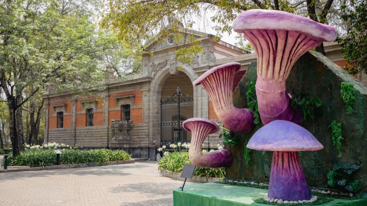 Festival Spora en el Bosque de Chapultepec