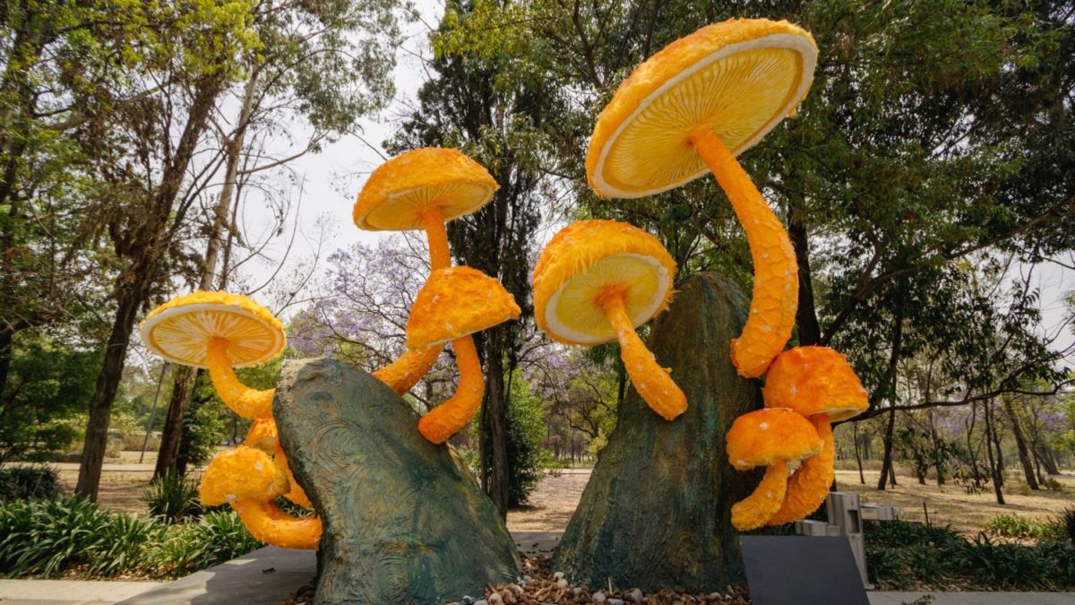 Festival Spora en el Bosque de Chapultepec