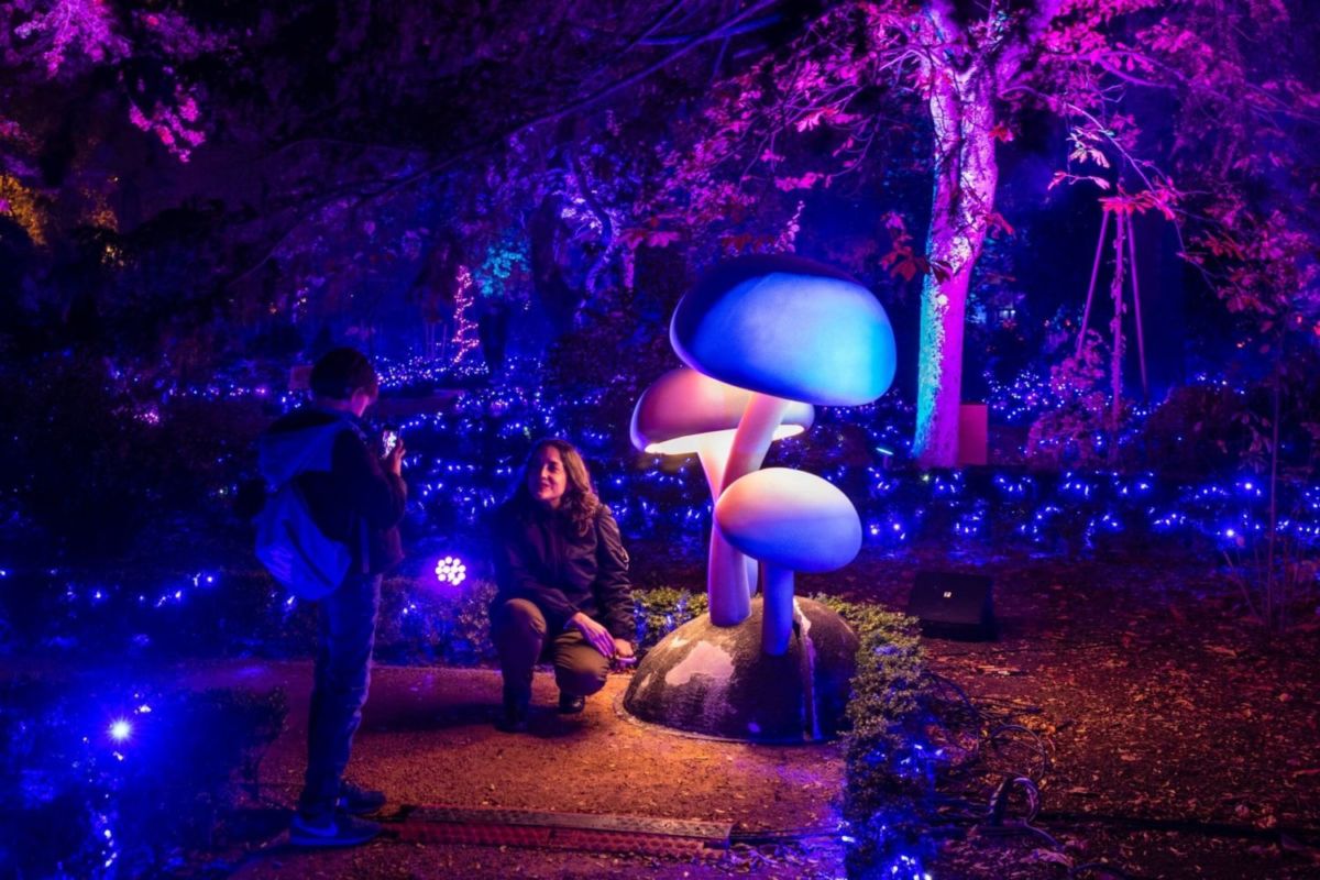 ¿Te quedarás en casa esta Semana Santa? Checa la cartelera cultural de estos días en CDMX con más de 100 actividades gratis