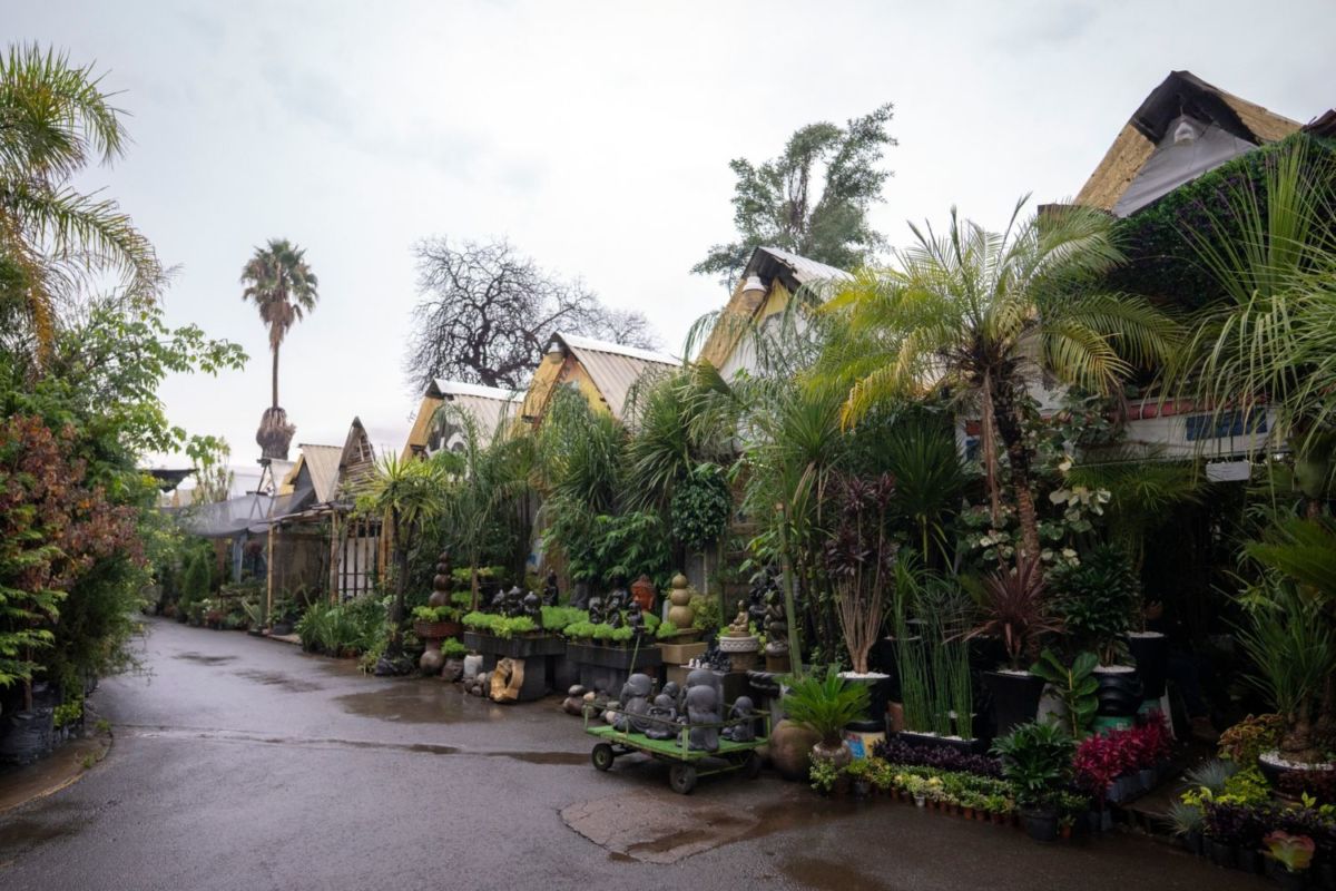 Mercado de Flores de Cuemanco