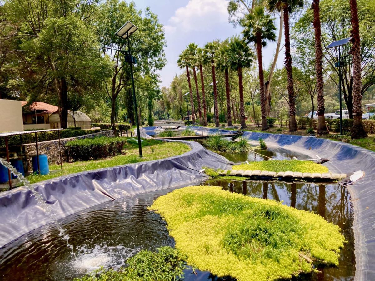 Centro de Cultura Ambiental Acuexcomatl