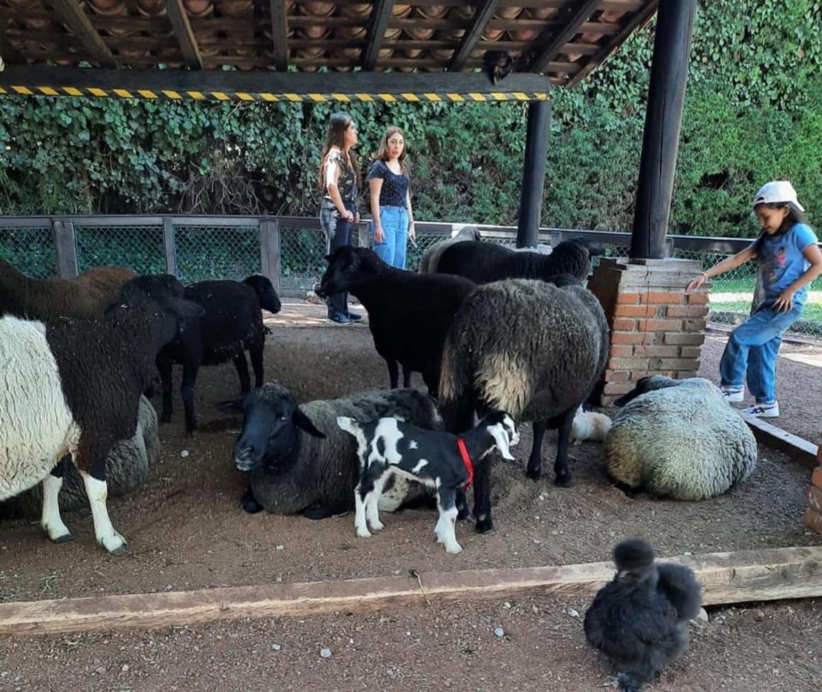 Ranchos en CDMX para visitar en familia. 