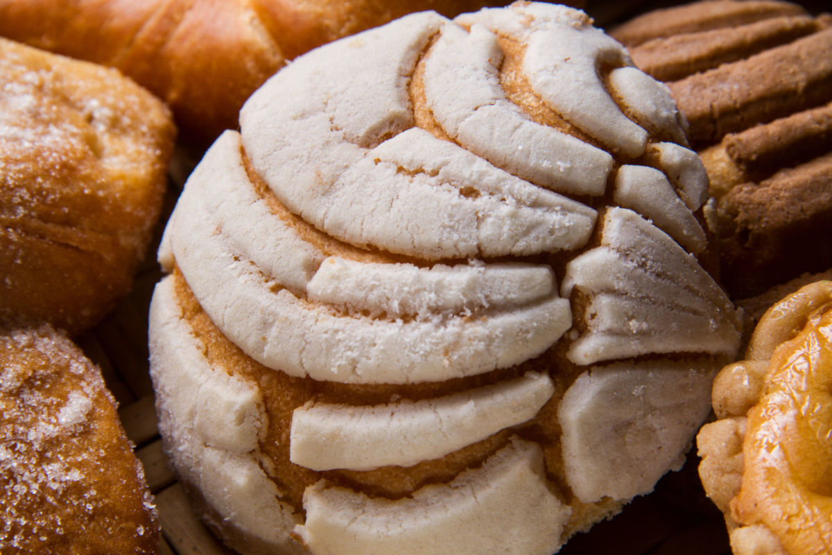 Tenemos la receta de las conchas de Buñuelo y aquí te la compartimos para que prepares este pan dulce desde tu casa  