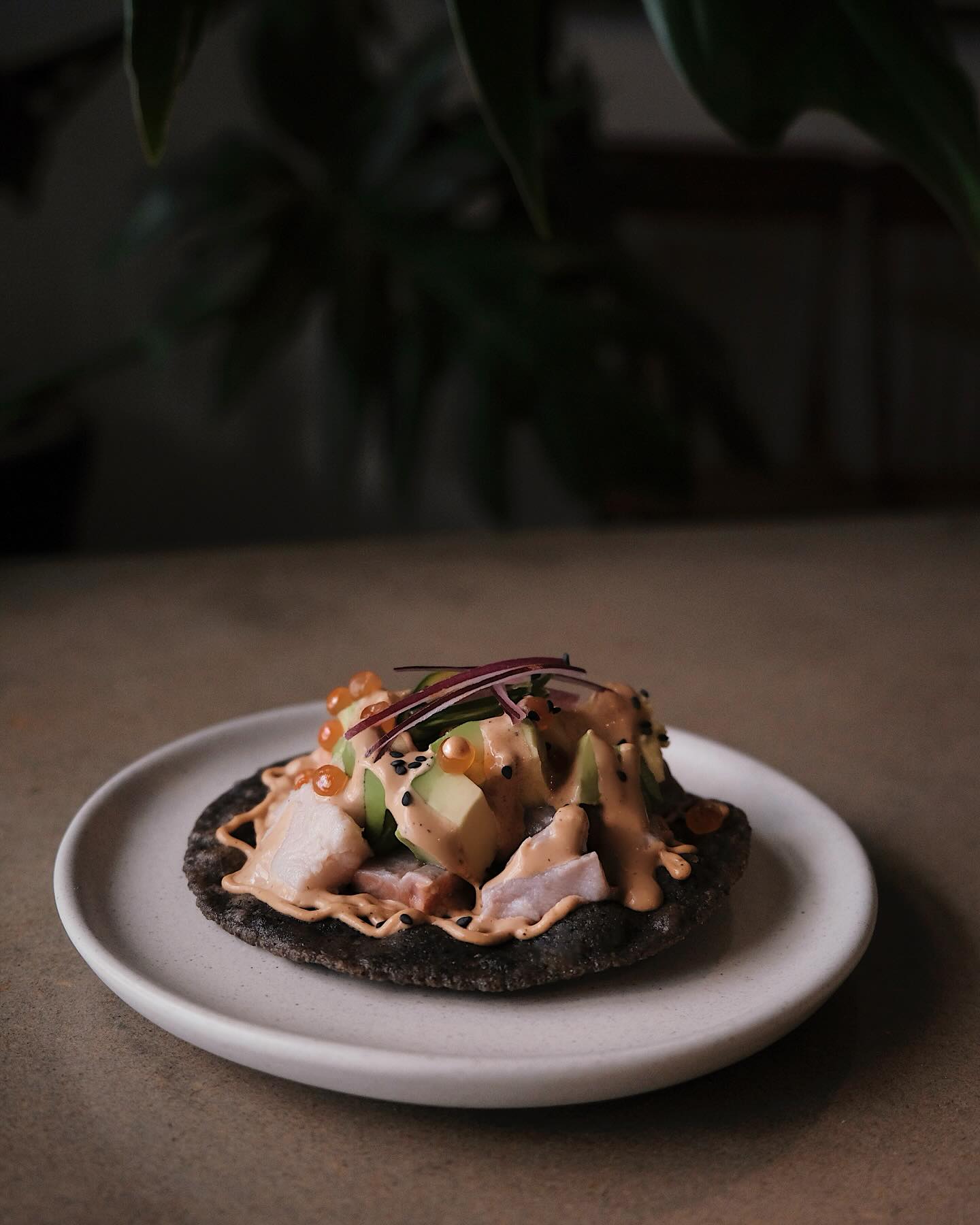 Tostada de trucha