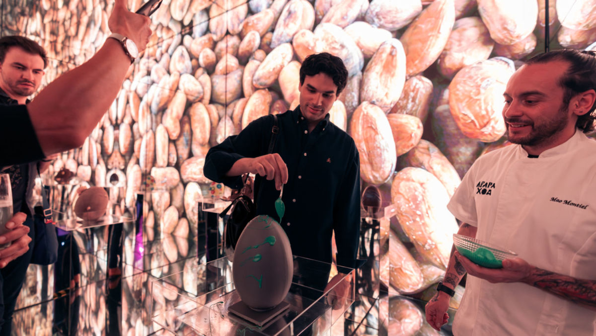 Experiencias inmersivas por Xcaret. 