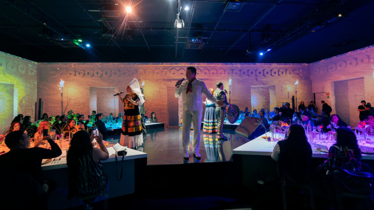 Xcaret México y sus experiencias. 