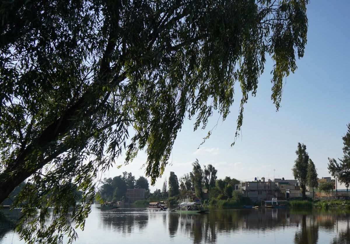 En los 80 fue un vertedero, y hoy es uno de los bosques favoritos para pasar el domingo en la CDMX