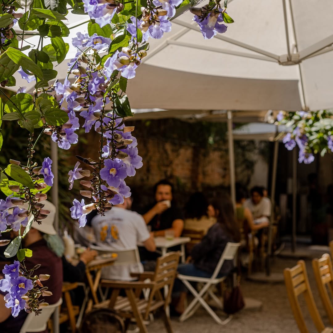 Cafetería en Guadalajara 