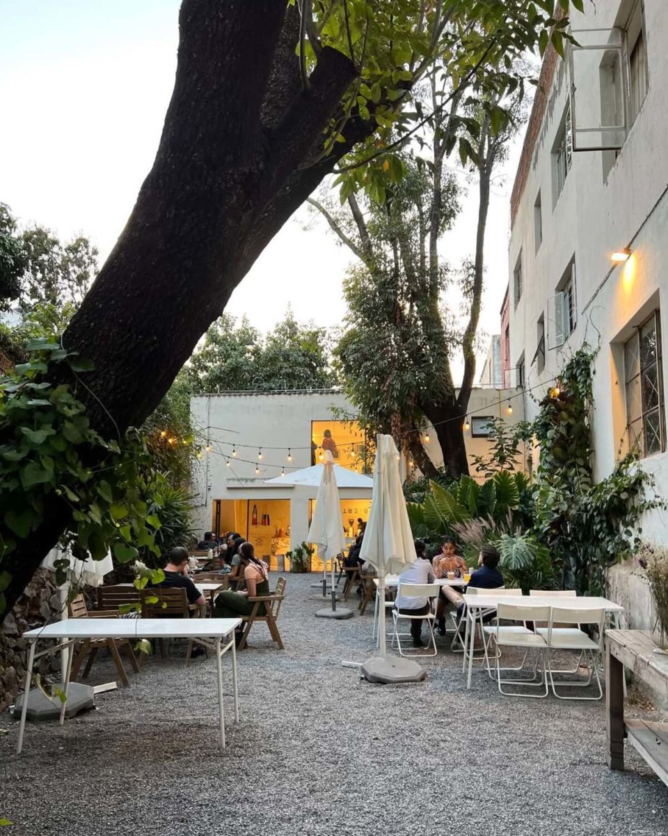 Lo único que necesitas en las mañanas es pasar por tu cafecito a este lindo jardín al aire libre en Guadalajara 