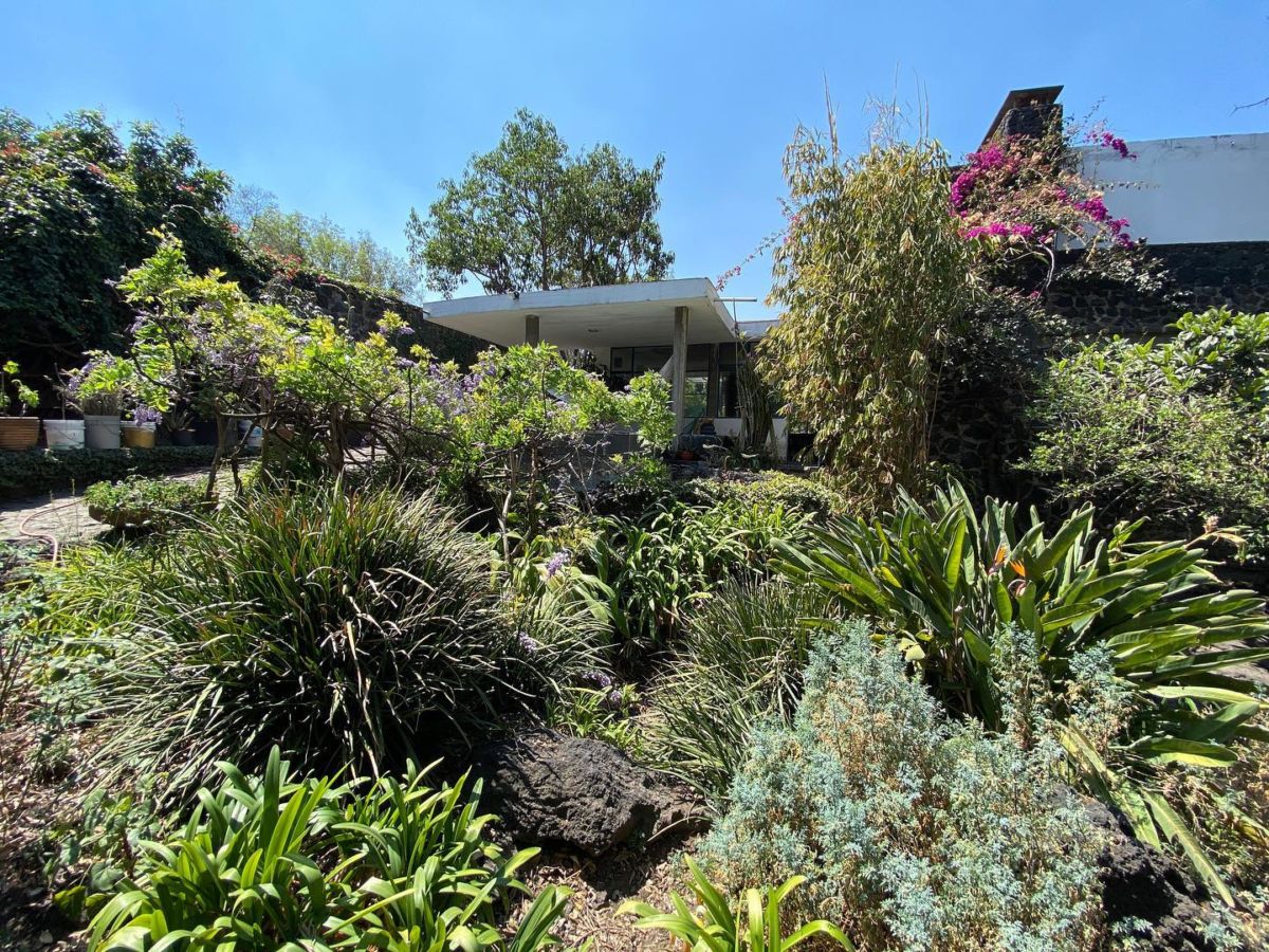 Jardín de la Casa Estudio Max Cetto