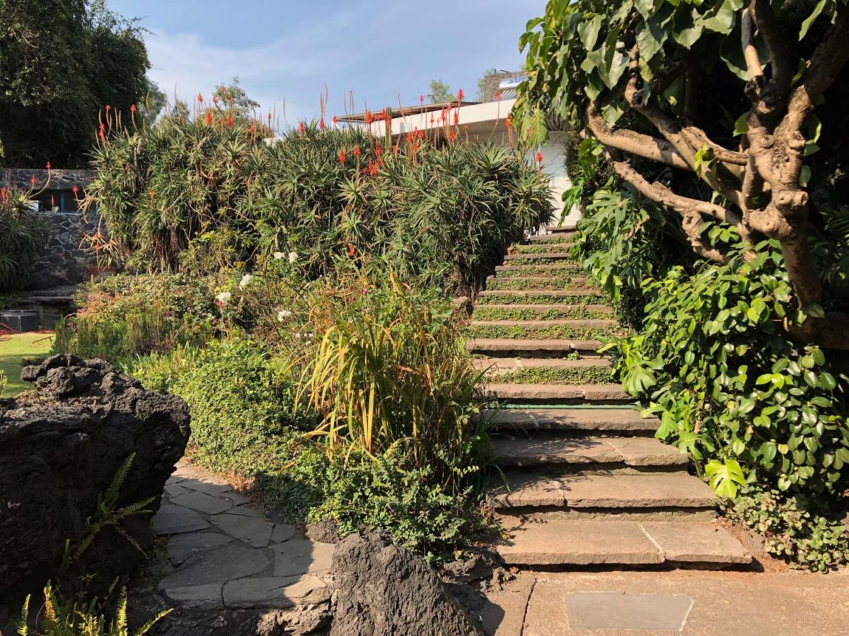 Jardines del Pedregal