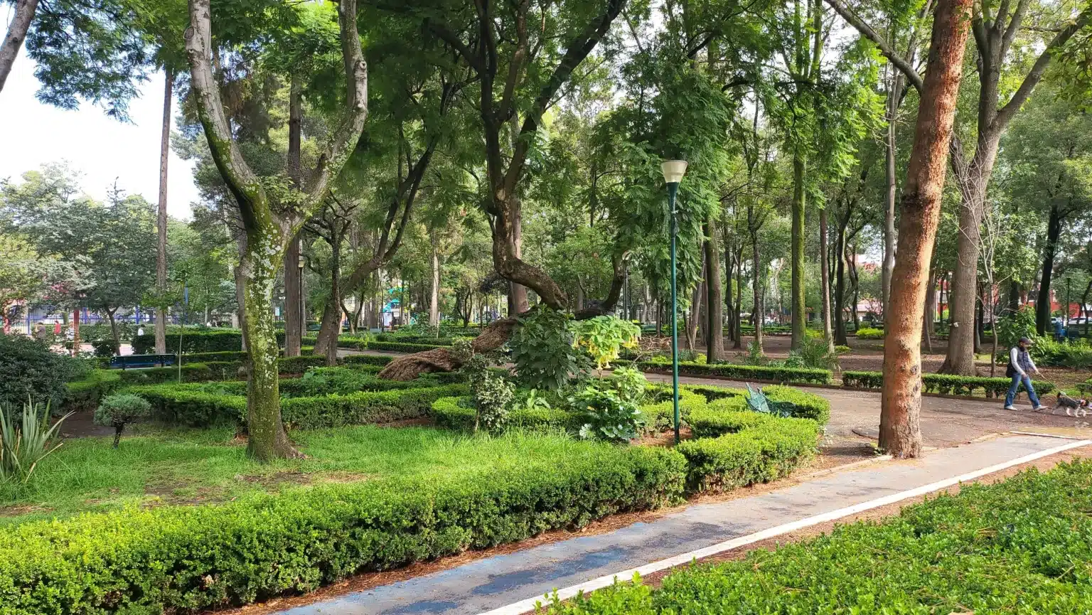 Colonia del Valle