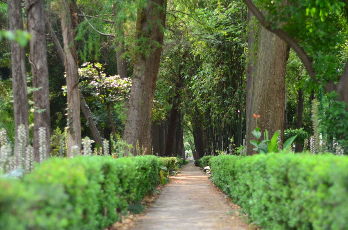 Parque Xicoténcatl