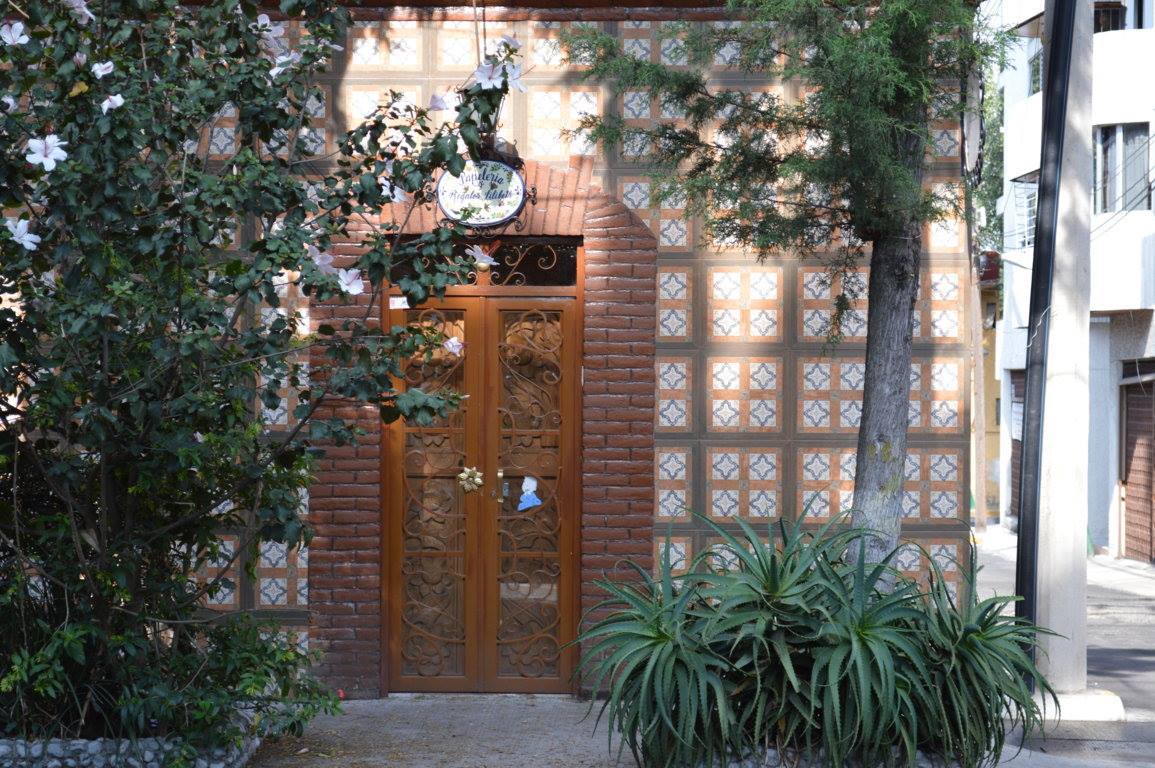 San José Insurgentes.