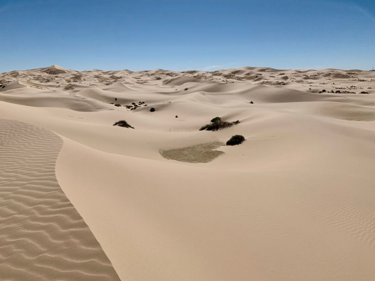 Las Dunas de Samalayuca se ubican a 2 horas y media de Ciudad Juárez 