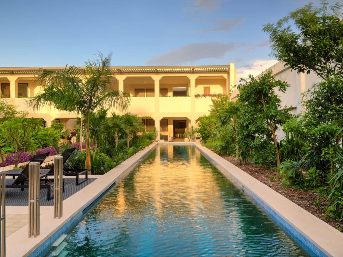 Un pedacito de la selva se esconde en este hotel en el centro de Mérida (su rooftop con alberca te encantará)