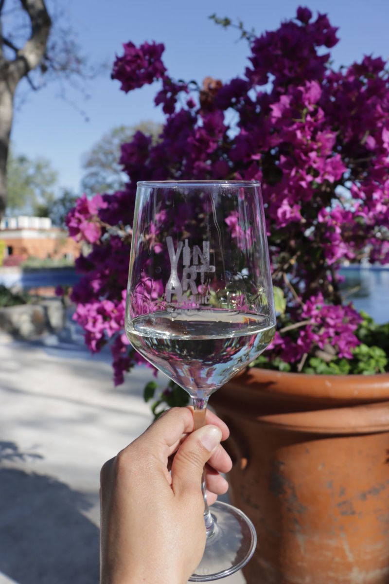 Festival de vino en Jalisco