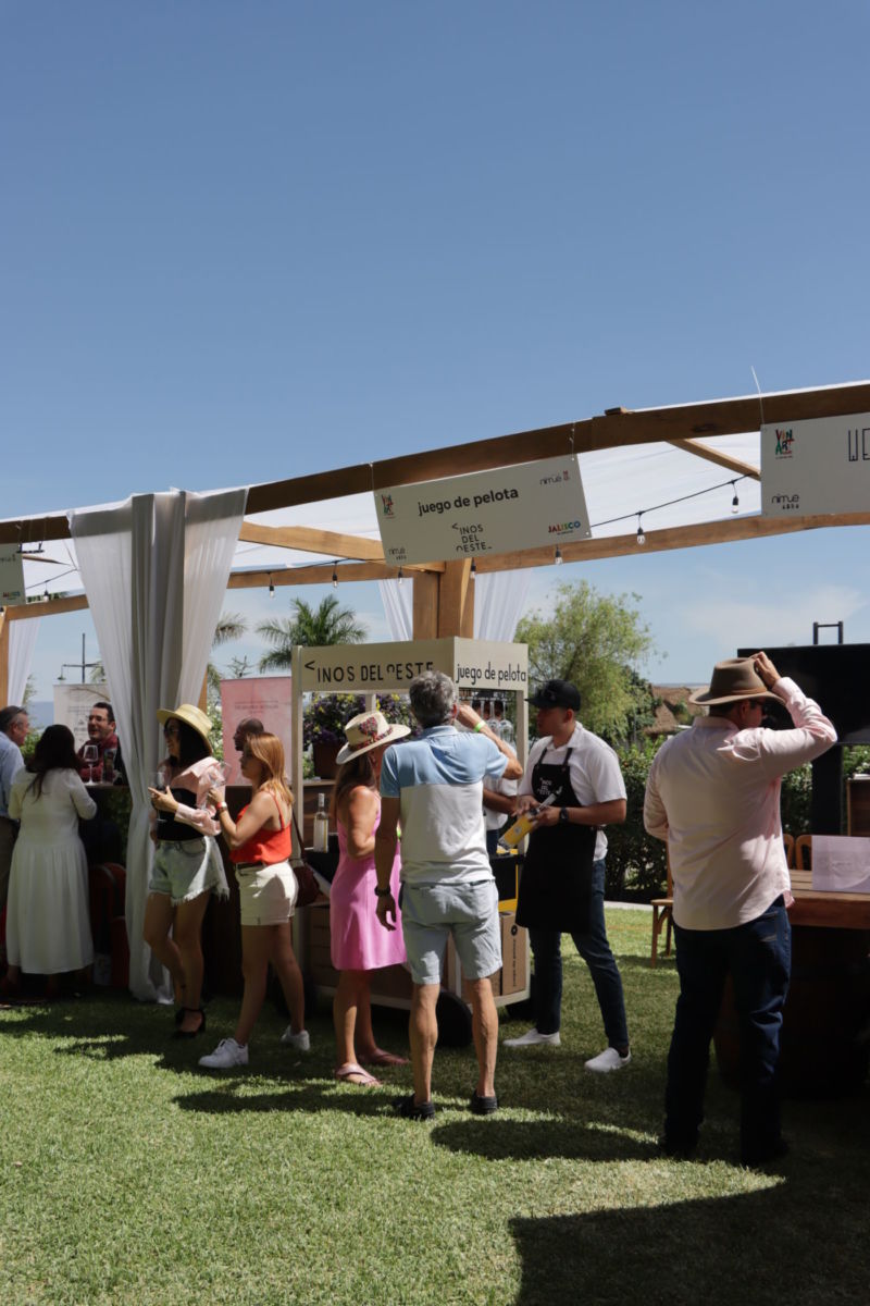 Festival Vinart Ajijic 2025