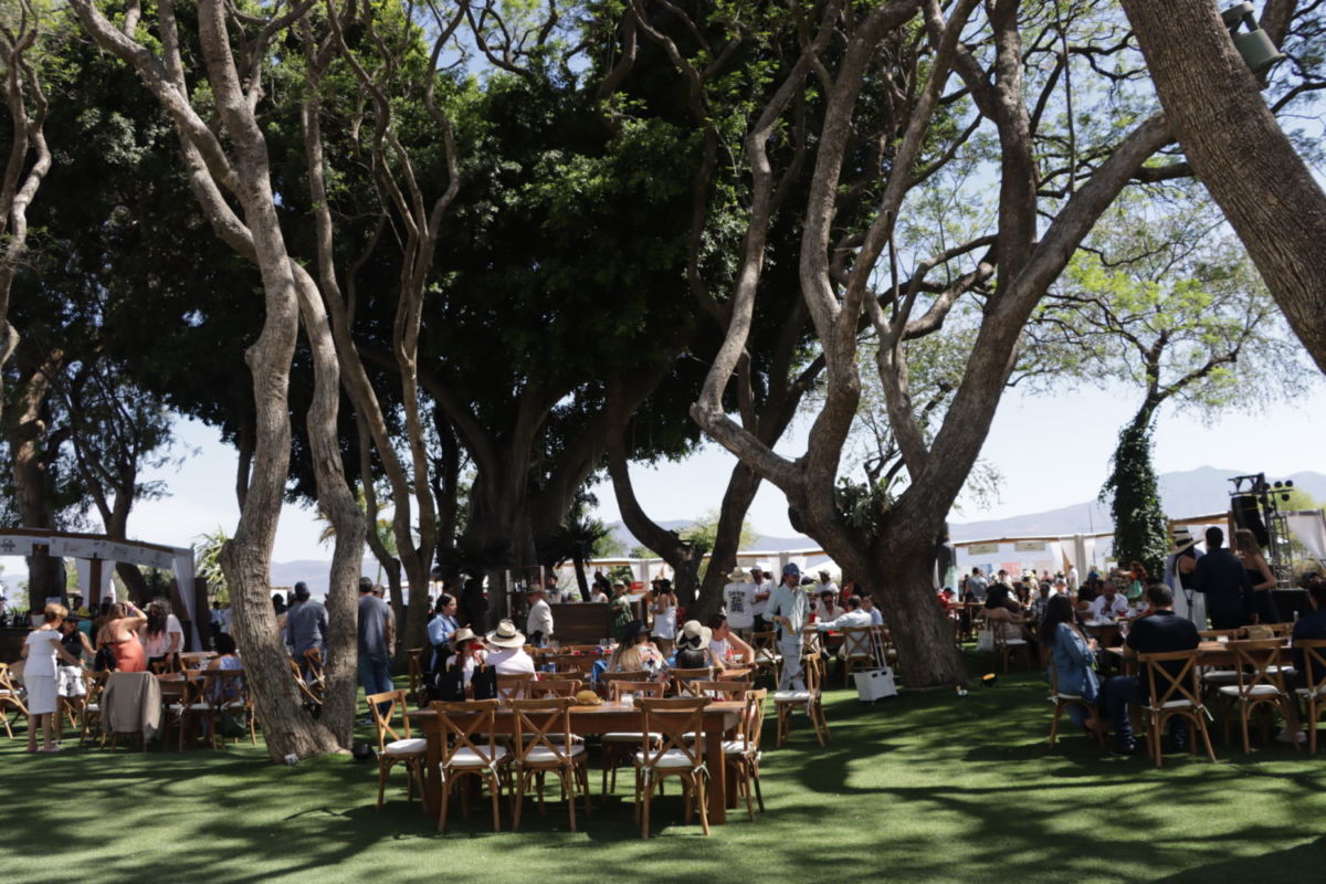 Festival Vinart Ajijic