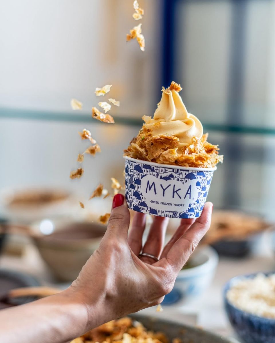 helados de yogurt artesanal 