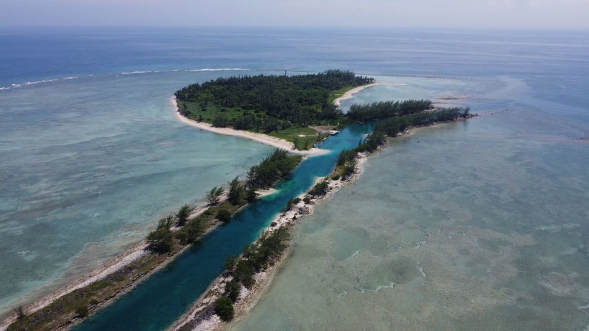 Isla de Lobos en Veracruz 