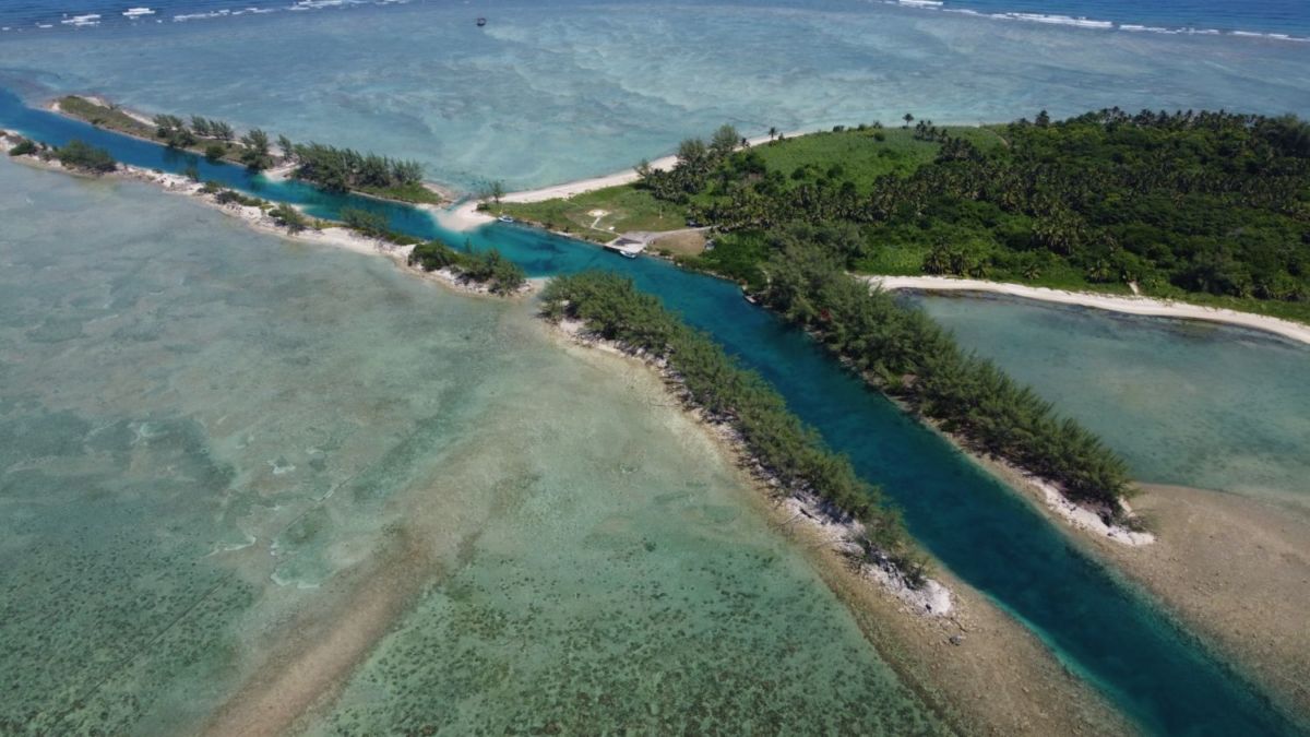 Canal petrolero en la Isla de Lobos