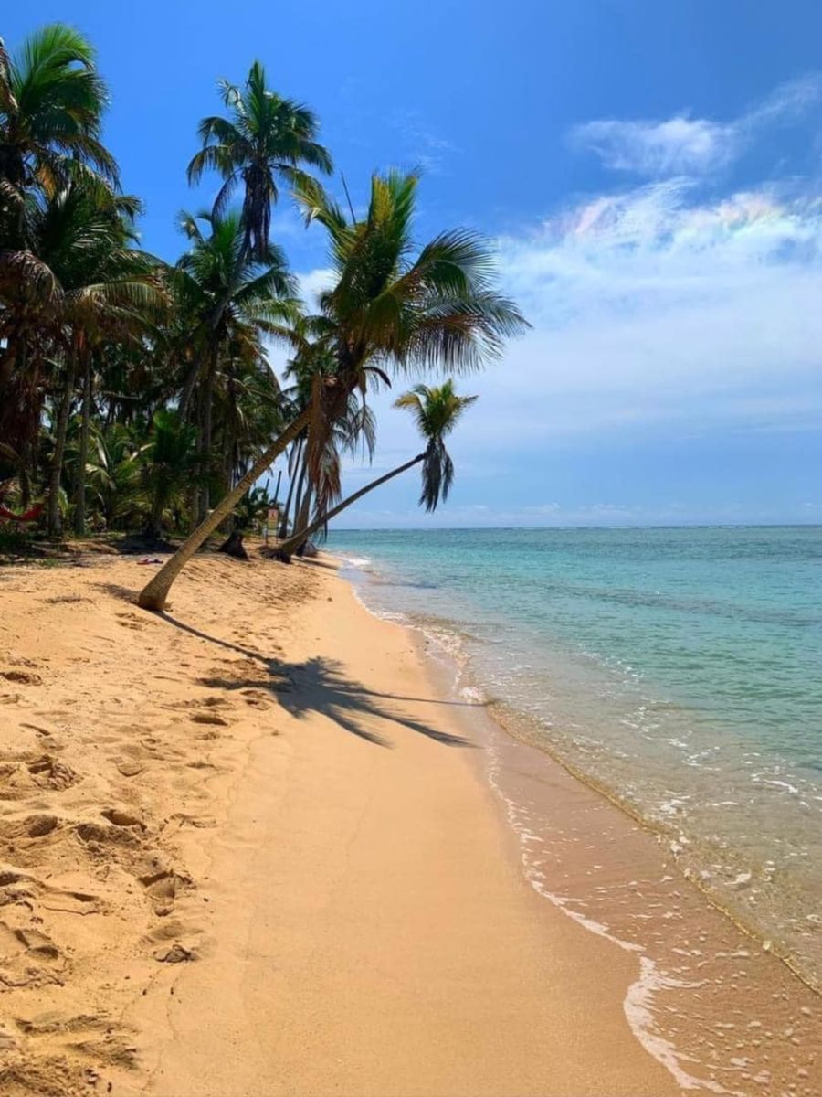 Playa de Isla de Lobos, Veracruz