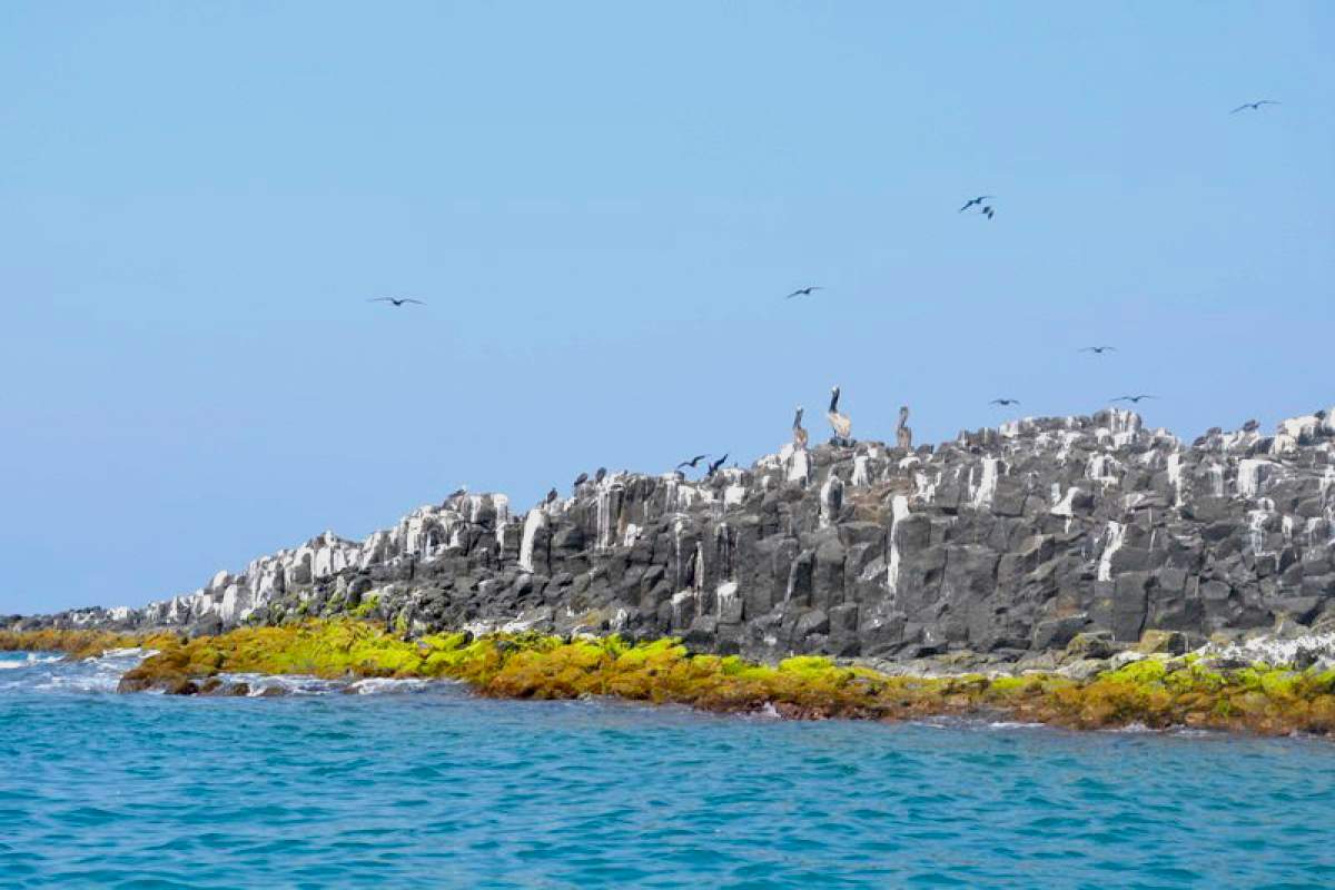 Isla de Terrón, Veracruz