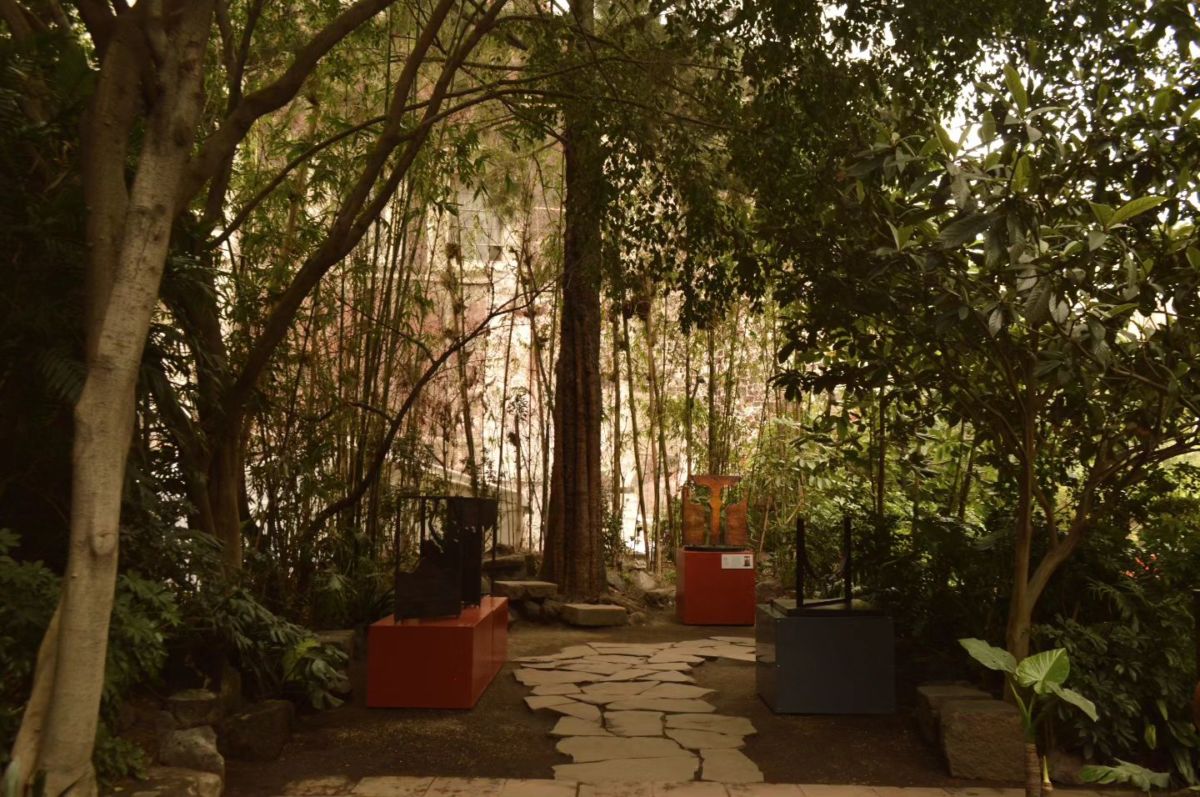 Oasis natural en medio de la CDMX 