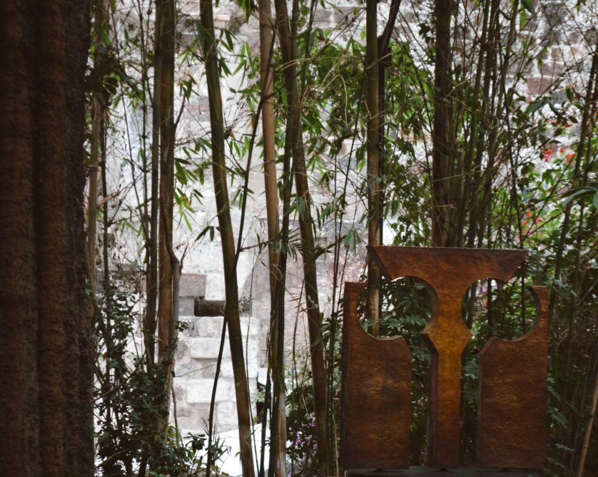Jardín de Sombras Centro Histórico de la CDMX 