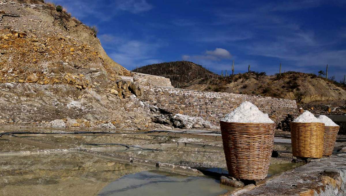 Zapotitlán de Salinas en Puebla