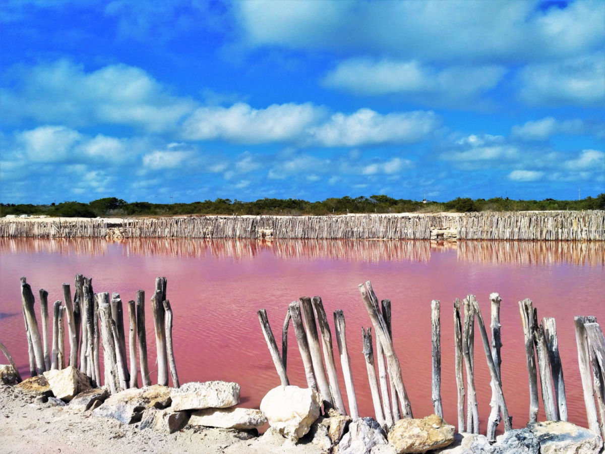 Laguna Rosada en Xtampú, Yucatán